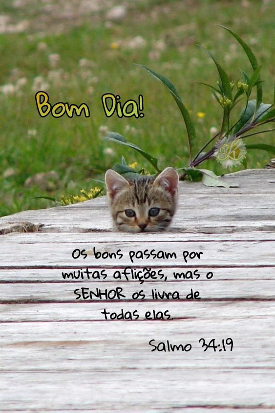 Salmos 34:19