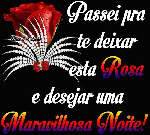 Uma rosa pra alegrar a sua noite