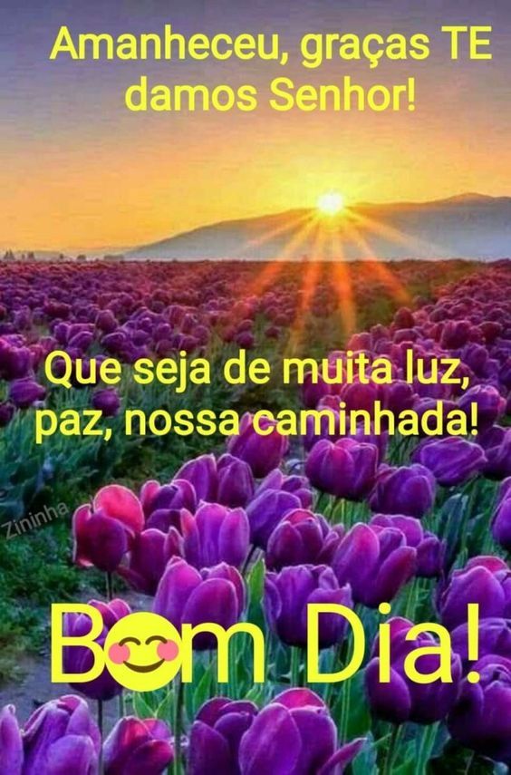 Bom dia que Seja com muita luz e paz na sua vida Nova mensagem de bom dia!