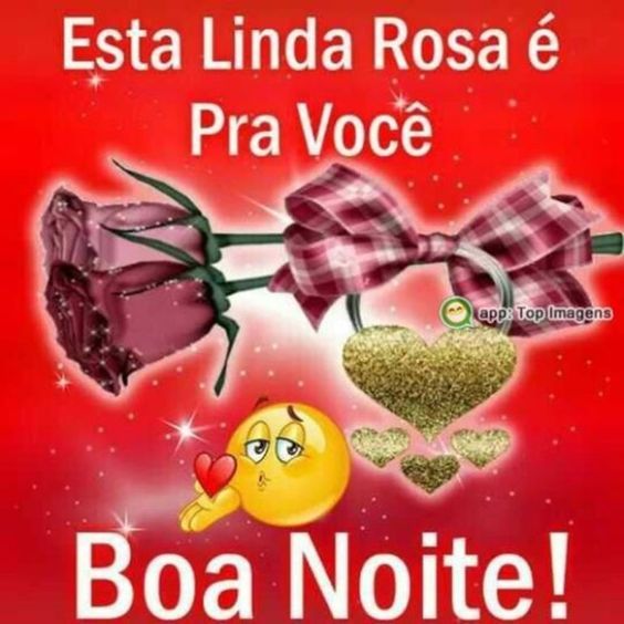 Uma linda rosa de boa noite para uma pessoa especial.
