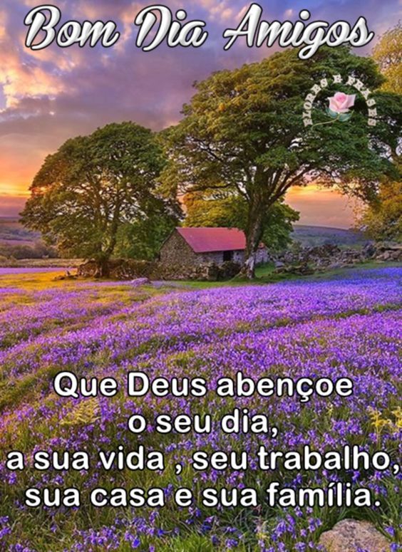 Bom dia para amigos especiais, Nova mensagens de Bom Dia