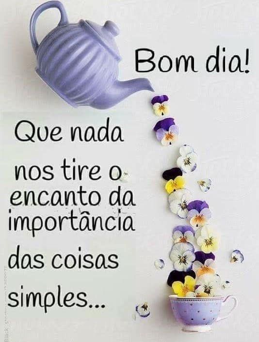 20 fotos de bom dia especial para whatsapp facebook e Instagram