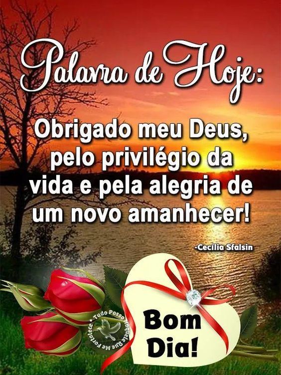 Palavra de hoje! Obrigado Deus por mais uma noite, Bom dia whatsapp