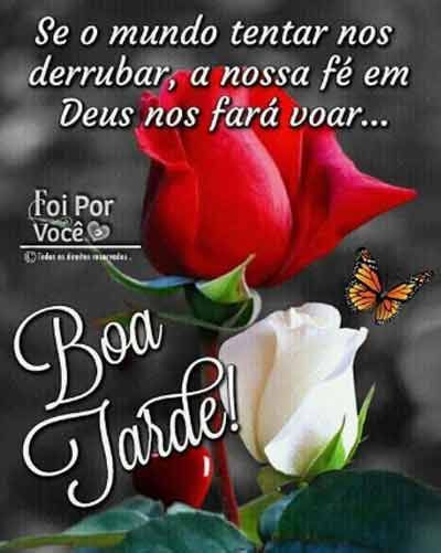 Boa tarde com flores!