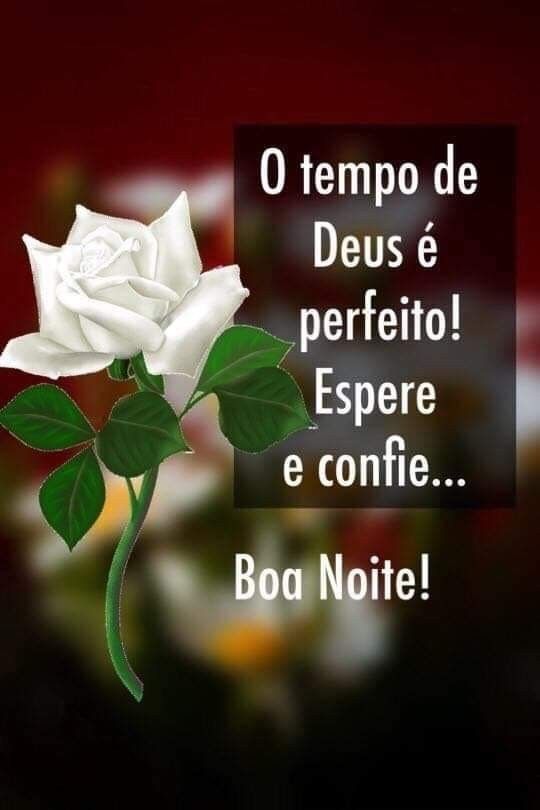 Boa noite especial com carinho e amor.