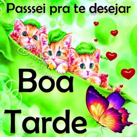 20 Fotos de boa tarde com amor e carinho para você ficar feliz e sorrir muito