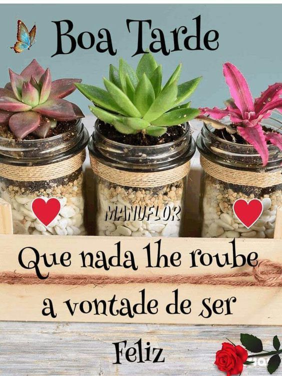 Que nada lhe roube a vontade de ser feliz! fotos de boa tarde sábado