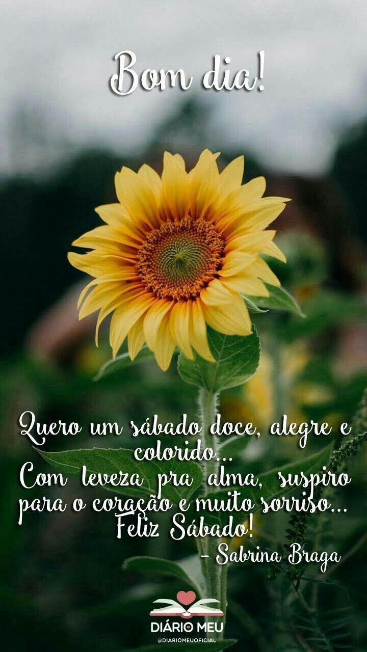 Quero um sábado doce, alegre e colorido