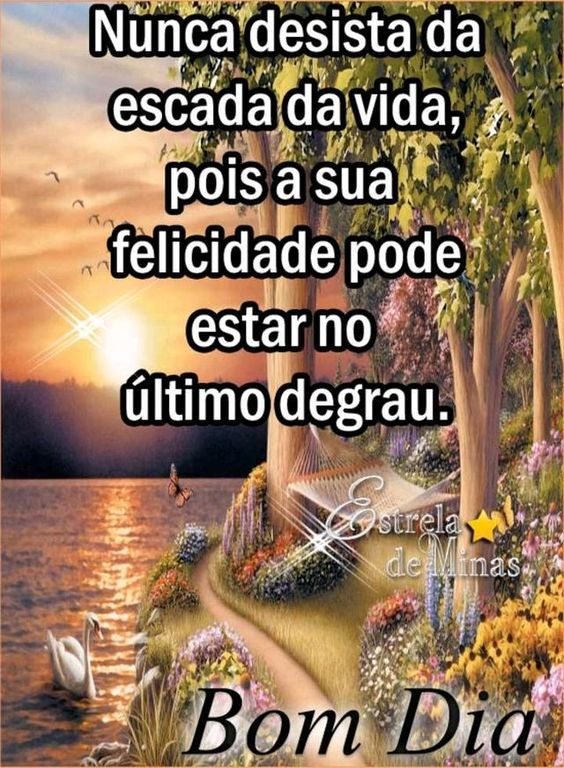 Nunca desista da escada da vida, tenha um lindo dia.