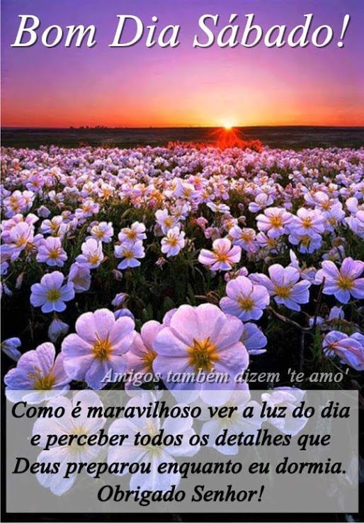 Mensagem de gratidão