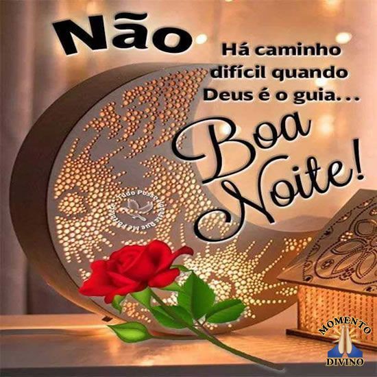 Boa noite brilhosa com lua e flores!