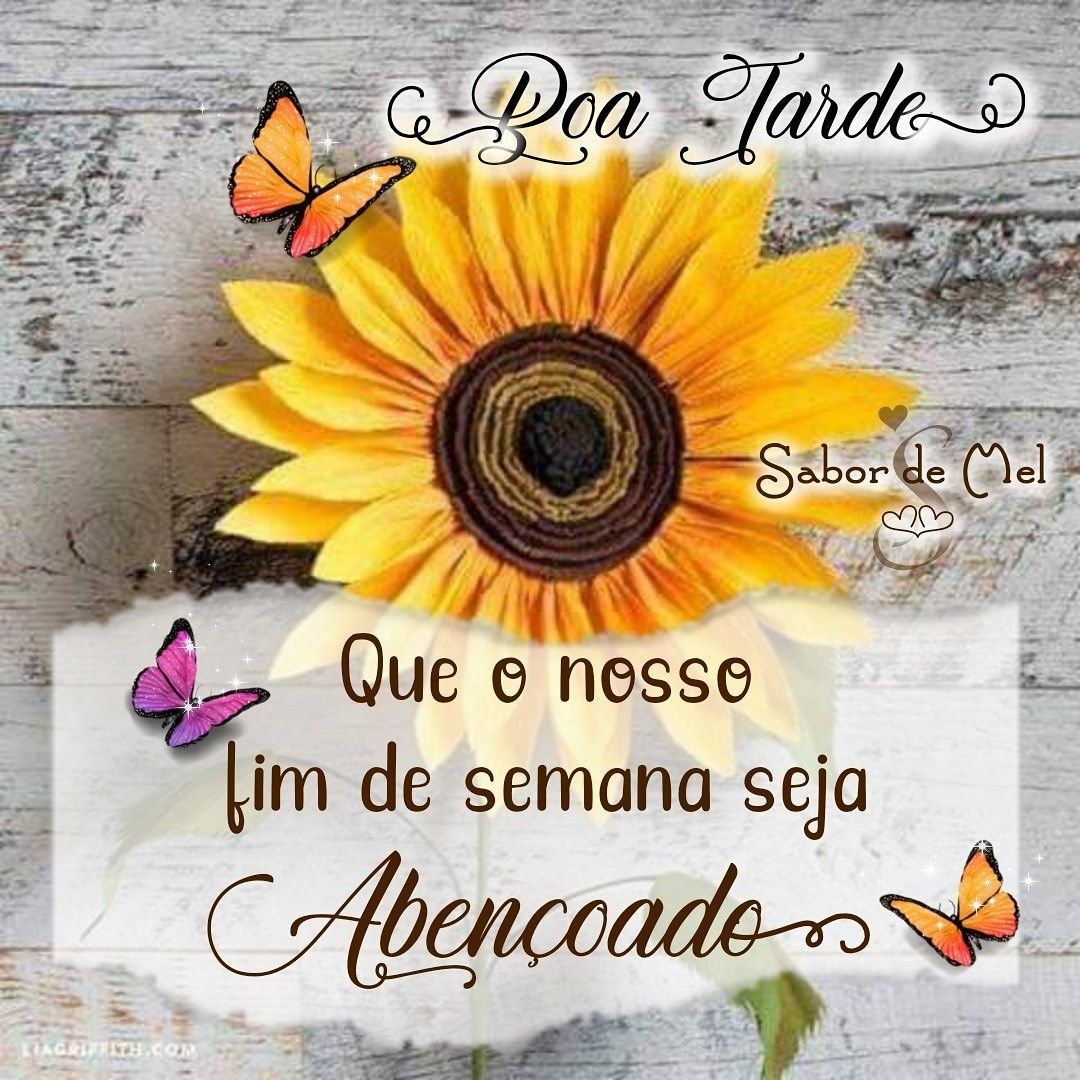 Boa Tarde com uma linda flor especial 