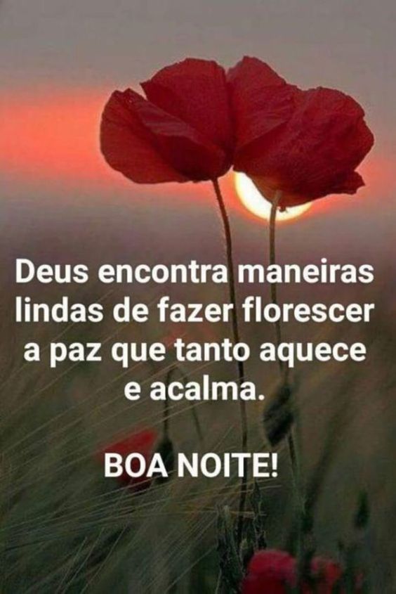 Boa noite a todos os amigos do whatsapp! mensagens e imagens de boa noite.