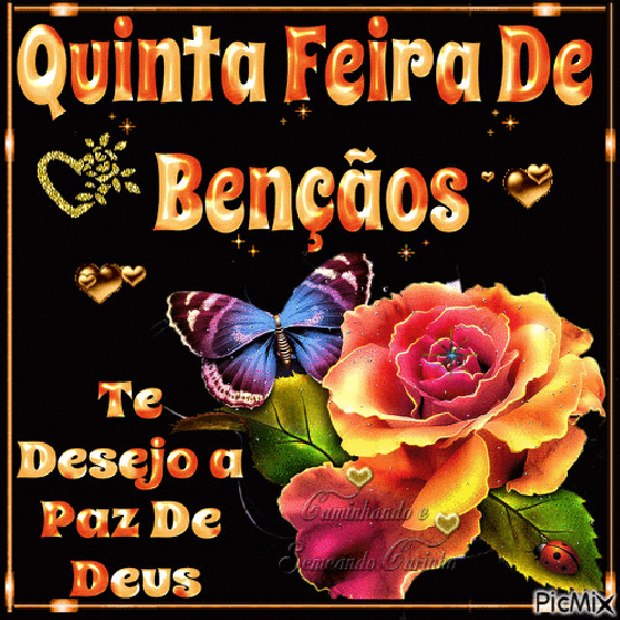 Paz e saúde neste dia!